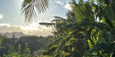 Nová hostitelská rodina a stěhování na Hawaii