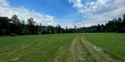 Léto v pohybu
