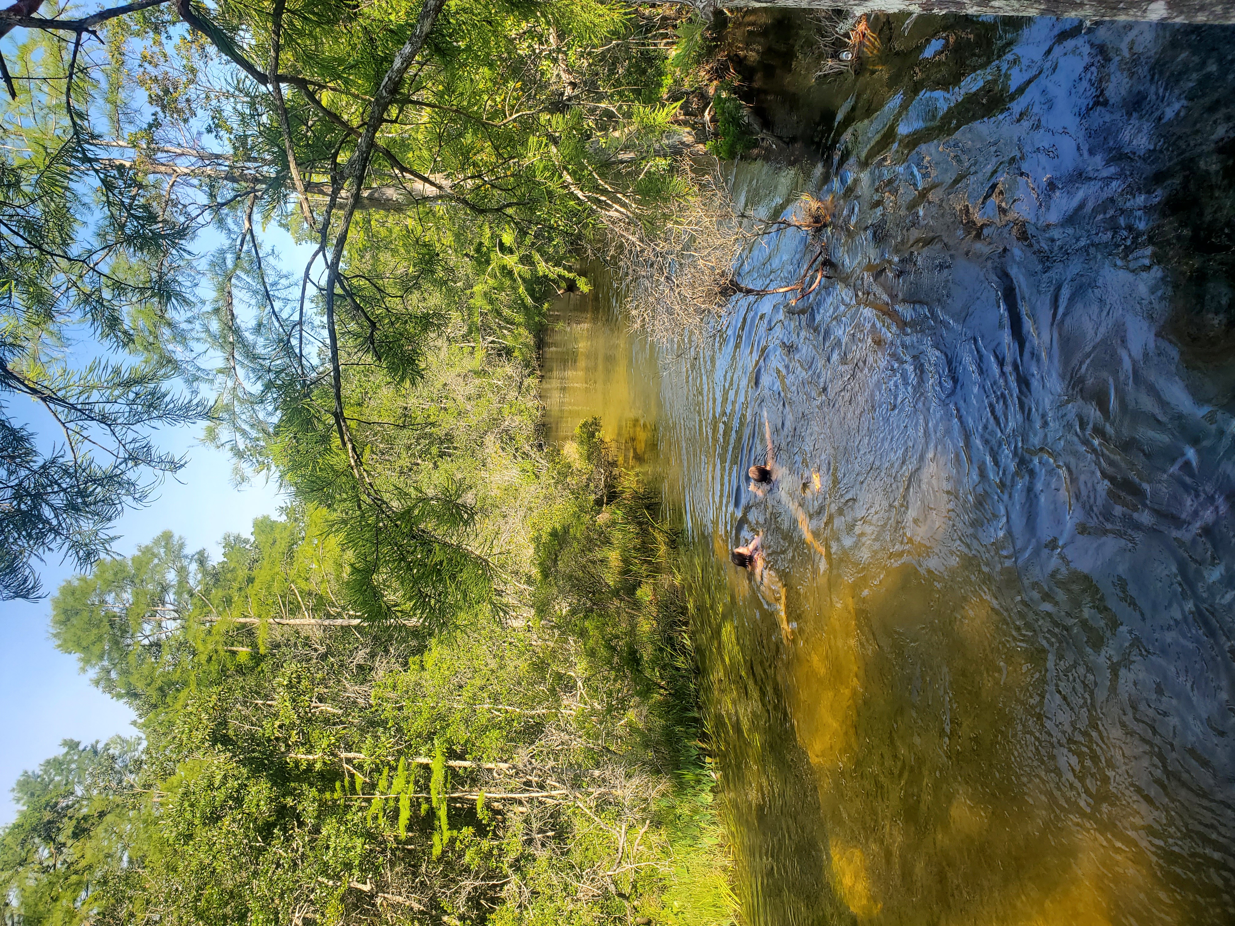 Turkey Creek