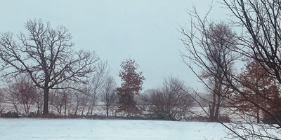 The Windy City Diary VI