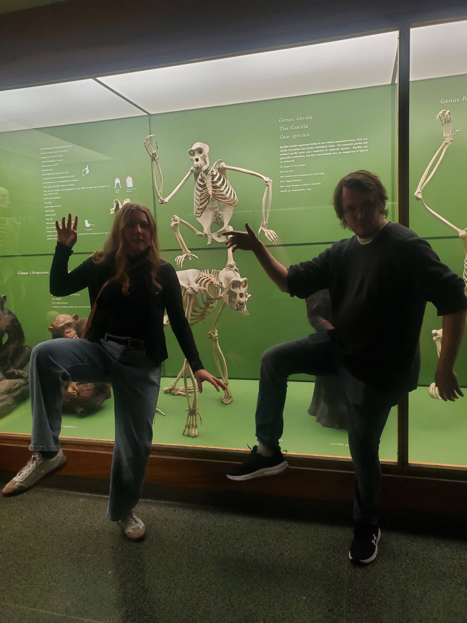 Natural history musejm