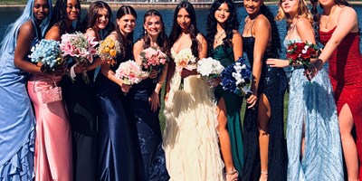 The Windy City Diary XI